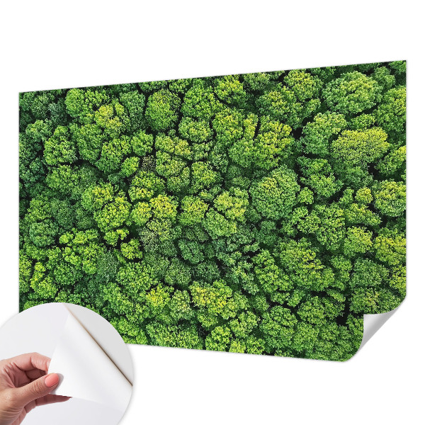 Papel mural con patrón decorativo con motivo Panorama del bosque
