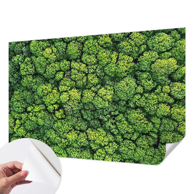 Papel mural con patrón decorativo con motivo Panorama del bosque