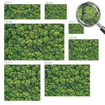 Papel mural con patrón decorativo Panorama del bosque