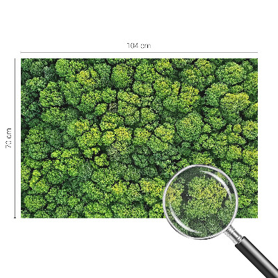 Papel mural con patrón decorativo Panorama del bosque