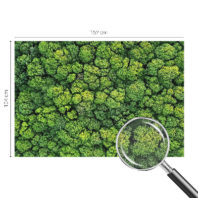 Papel mural con patrón decorativo Panorama del bosque