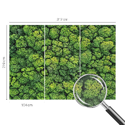 Papel mural con patrón decorativo Panorama del bosque