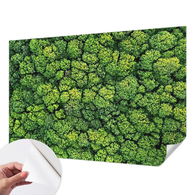 Papel mural con patrón decorativo con motivo Panorama del bosque