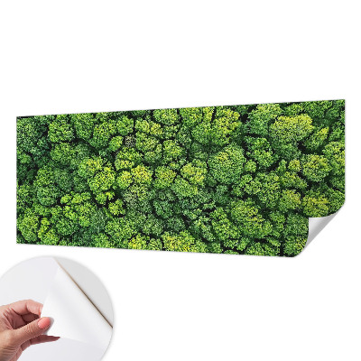 Papel mural con patrón decorativo con motivo Panorama del bosque