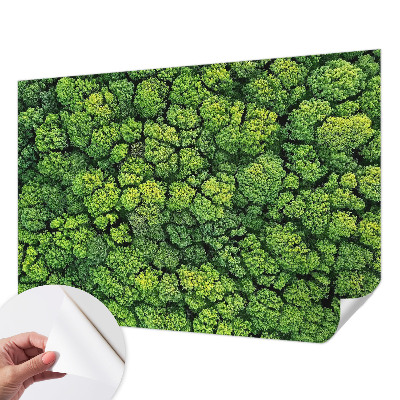 Papel mural con patrón decorativo con motivo Panorama del bosque