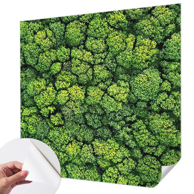 Papel mural con patrón decorativo Panorama del bosque