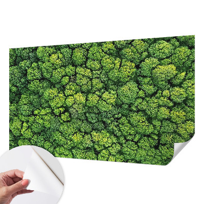Papel mural con patrón decorativo con motivo Panorama del bosque