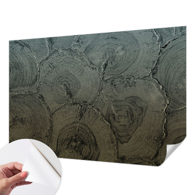 Papel mural texturado decorativo Anillos de madera