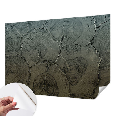 Papel mural texturado decorativo Anillos de madera