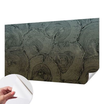 Papel mural texturado decorativo Anillos de madera