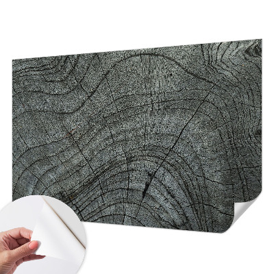 Mural de pared con estampado hermoso con patrón de grano