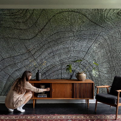 Mural de pared con estampado hermoso Patrón de grano