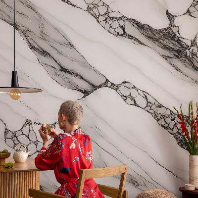 Mural de pared con estampado hermoso Patrón de piedra