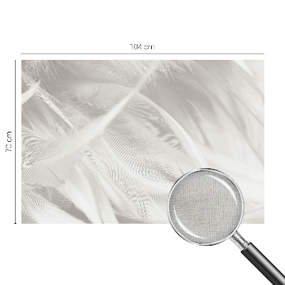 Papel mural texturado decorativo Plumas sutiles