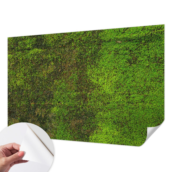 Papel mural con patrón decorativo Alfombra verde
