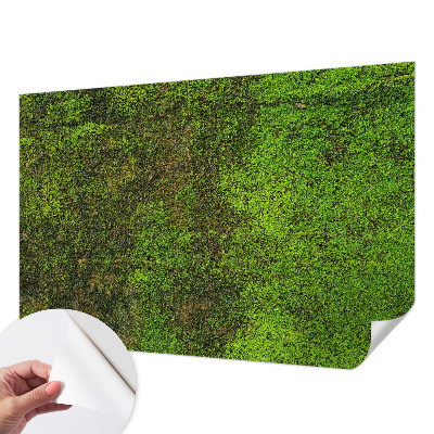 Papel mural con patrón decorativo con diseño de alfombra en tono verde
