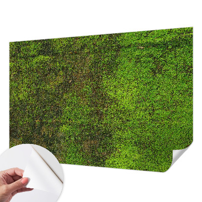 Papel mural con patrón decorativo Alfombra verde