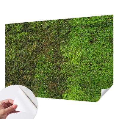Papel mural con patrón decorativo Alfombra verde