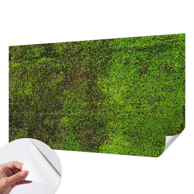 Papel mural con patrón decorativo Alfombra verde
