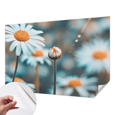 Mural de pared con estampado hermoso Delicadeza de manzanilla