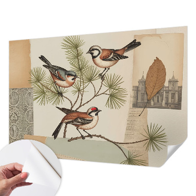Papel mural texturado decorativo Collage de pájaros
