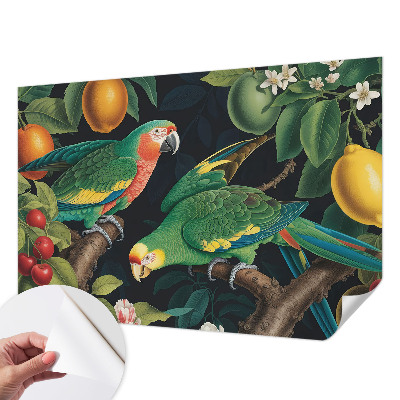 Papel mural con patrón decorativo con diseño 