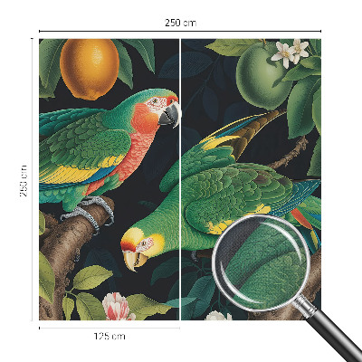 Papel mural con patrón decorativo Aventura tropical