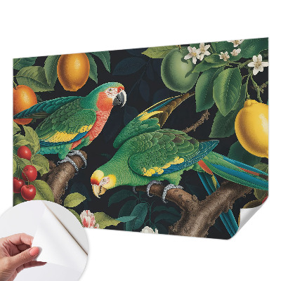Papel mural con patrón decorativo Aventura tropical