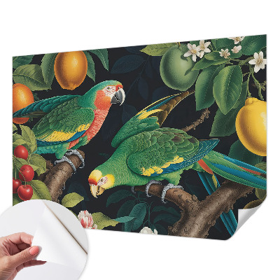 Papel mural con patrón decorativo Aventura tropical
