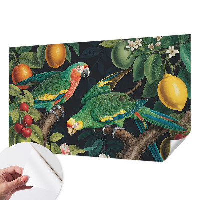 Papel mural con patrón decorativo Aventura tropical
