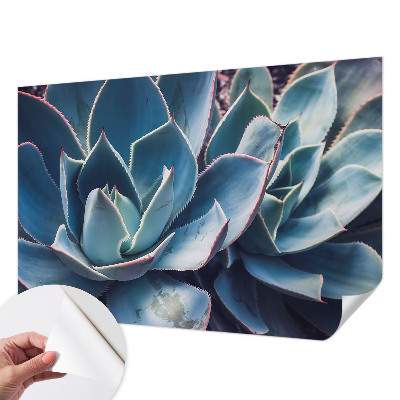Papel mural con patrón decorativo con diseño de hojas de aloe en tono verde