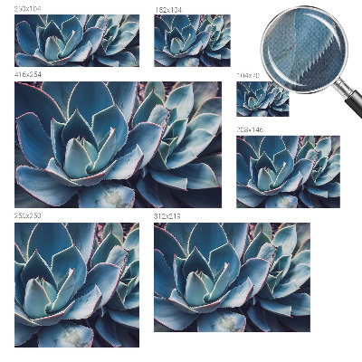 Papel mural con patrón decorativo Aloe verde