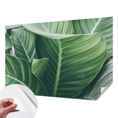 Papel mural texturado decorativo en tono verde paz