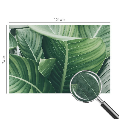 Papel mural texturado decorativo Paz Verde