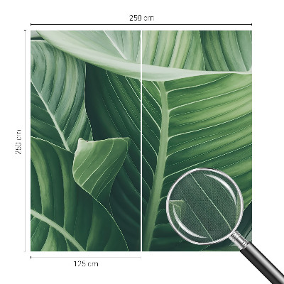 Papel mural texturado decorativo Paz Verde