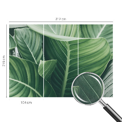 Papel mural texturado decorativo Paz Verde