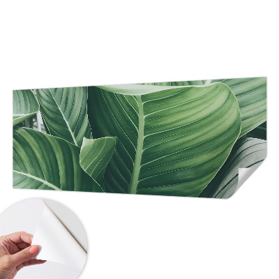 Papel mural texturado decorativo Paz Verde