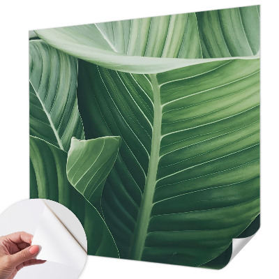 Papel mural texturado decorativo Paz Verde