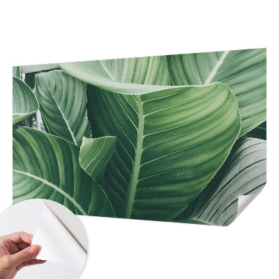 Papel mural texturado decorativo Paz Verde