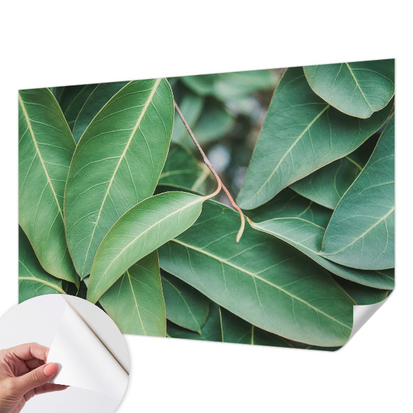 Fotomural decorativo para cabecero de cama con diseño de hojas verdes