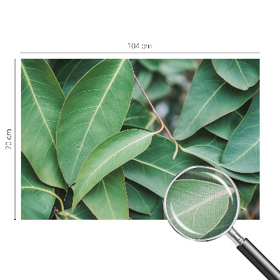 Fotomural decorativo para cabecero de cama hojas verdes
