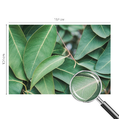 Fotomural decorativo para cabecero de cama hojas verdes