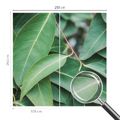 Fotomural decorativo para cabecero de cama hojas verdes