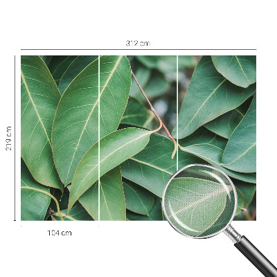 Fotomural decorativo para cabecero de cama hojas verdes