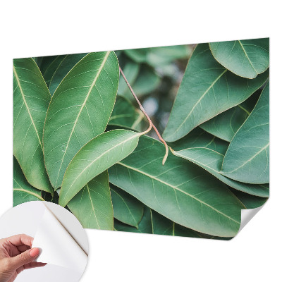 Fotomural decorativo para cabecero de cama hojas verdes