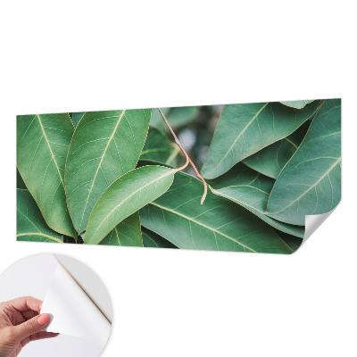 Fotomural decorativo para cabecero de cama hojas verdes