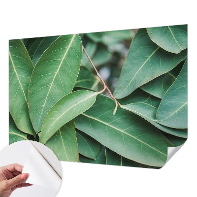 Fotomural decorativo para cabecero de cama hojas verdes