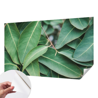 Fotomural decorativo para cabecero de cama hojas verdes