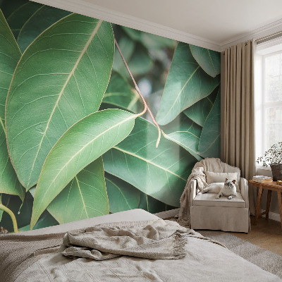 Fotomural decorativo para cabecero de cama hojas verdes