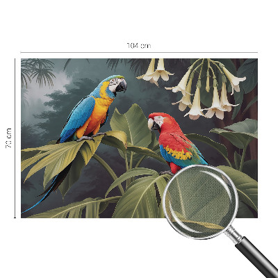 Fotomural decorativo para cabecero de cama loros coloridos
